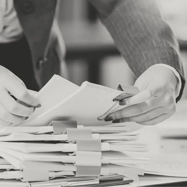 File Reviews, Case File Review, Case file Reviews, Services