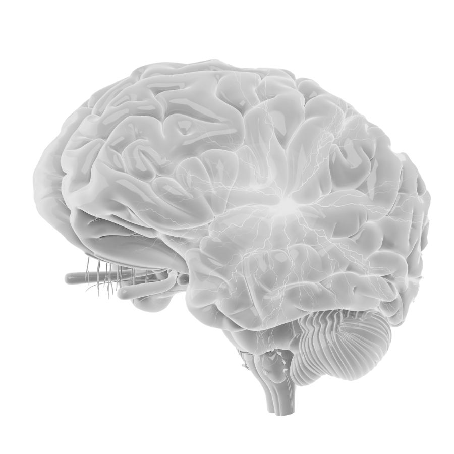 Cognitive Behaviour Training, training